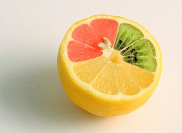 kiwi-zitrone kiwi-zitrone
